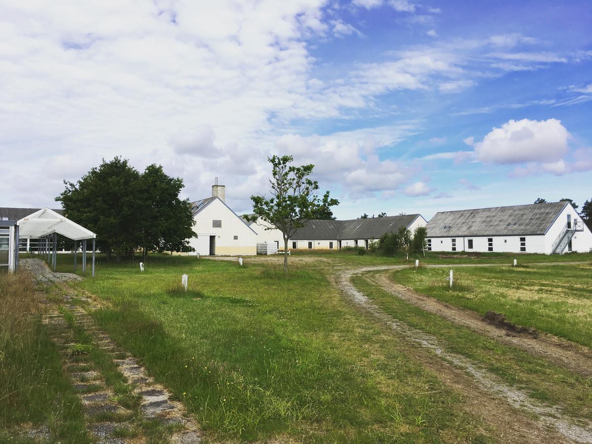 Hotel Hvideklit Ålbæk المظهر الخارجي الصورة